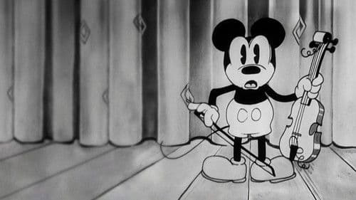 Das Geigenkonzert Bild 5