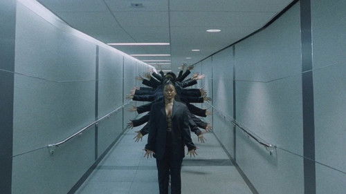 Solange: When I Get Home Bild 8