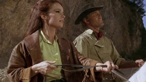 Ringo, such dir einen Platz zum Sterben Bild 2