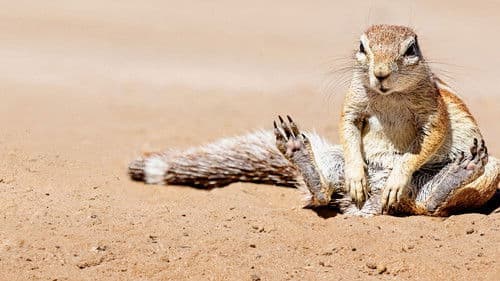 When Nature Calls with Helen Mirren Bild 2