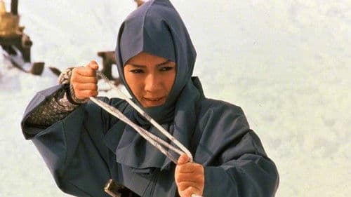 御金蔵破り3 家康の首 Bild 4