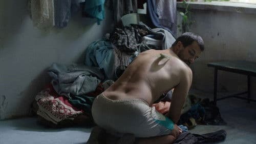 Linije želje Bild 2