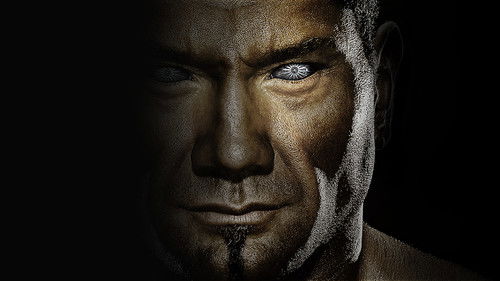 WWE Elimination Chamber 2010 Bild 1