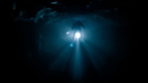 A Vampire Movie Bild 2