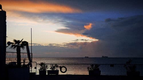 Il viaggio della signorina Vila Bild 1