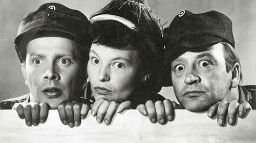 Komppanian neropatit Bild 1