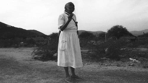 Los Zapatos de Zapata Bild 1