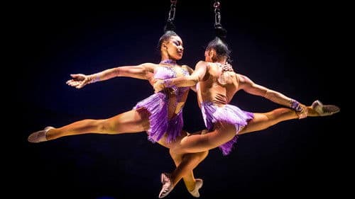 Le Cirque Phénix - 25 ans Bild 2