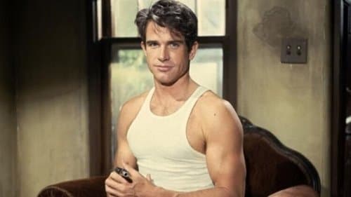 Warren Beatty - Mister Hollywood Bild 1