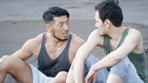 強がりカポナータ Bild 1