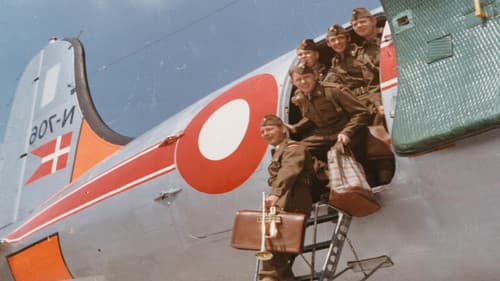 100 Mann und ein Kamel Bild 2