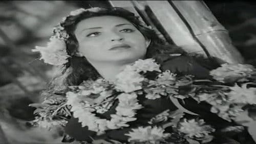 وادي النجوم Bild 1