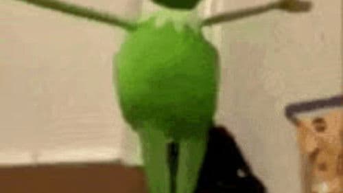 If I am silence ~ {Kermit Bild 1