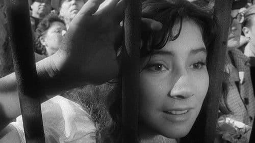 Wenn die Kraniche ziehen Bild 6