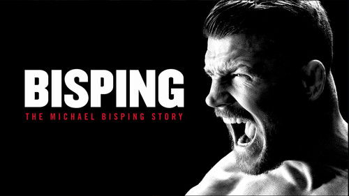 Bisping Bild 4