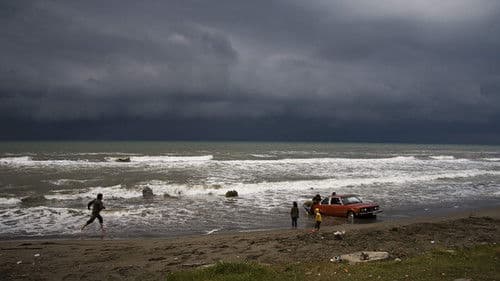 Alles über Elly Bild 6