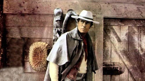 Django - Ein Sarg voll Blut Bild 2