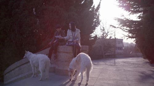 你好，之华 Bild 5