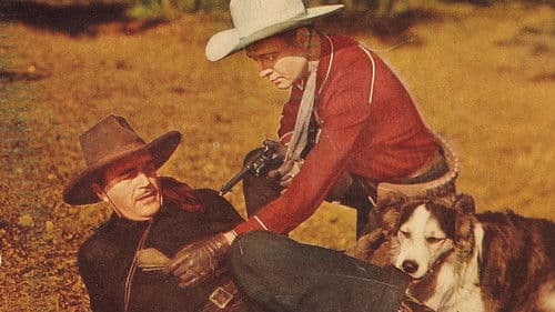 Rolling Caravans Bild 1