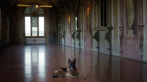 Gunthers Millionen Bild 4