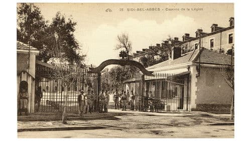 Human Flowers of Flesh Bild 7