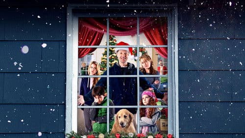 Weihnachten allein zu Haus Bild 1