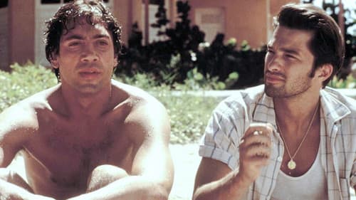 Bevor es Nacht wird Bild 6