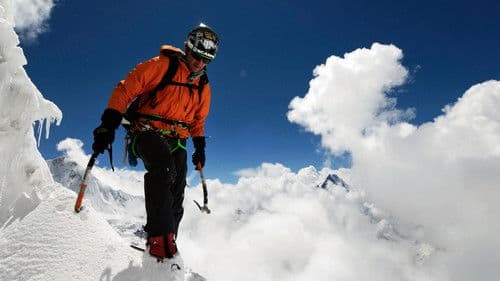 The Swiss Machine Bild 4