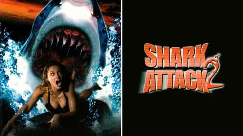 Shark Attack - The Killer Is Back Bild 6