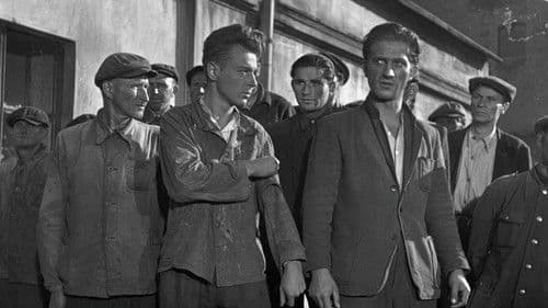 Pod gwiazdą frygijską Bild 6