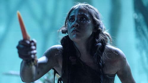 The Lion and the Firebird Bild 1