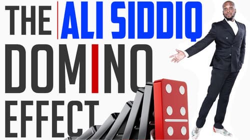 Ali Siddiq: The Domino Effect Bild 1