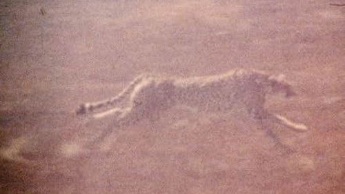 The Mark of Lilith Bild 6