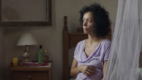 A Felicidade das Coisas Bild 4