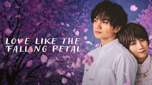 桜のような僕の恋人 Bild 5