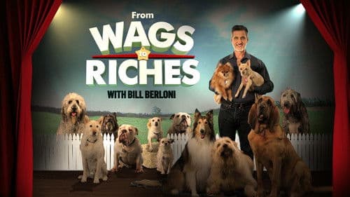 From Wags to Riches With Bill Berloni Bild 1