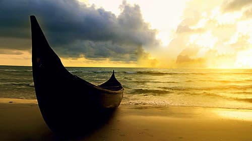 ഉത്തരചെമ്മീൻ Bild 1