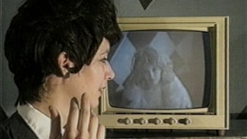 The Amateurist Bild 2