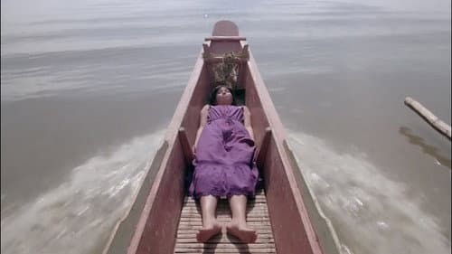 胡越的故事 Bild 7