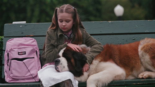 Beethoven auf Schatzsuche Bild 5