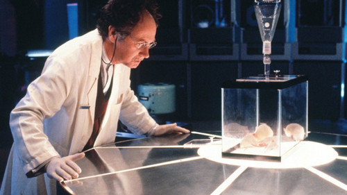 Schöne neue Zeit Bild 2