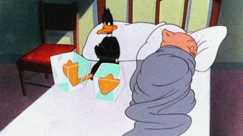 Daffy Duck Slept Here Bild 1