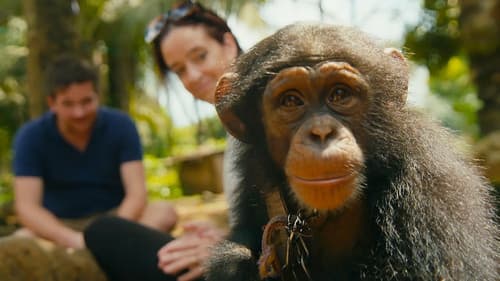 Baby Chimp Rescue Bild 3