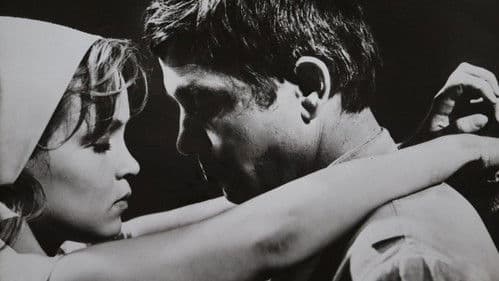 Bărbații încărunțesc de tineri Bild 1