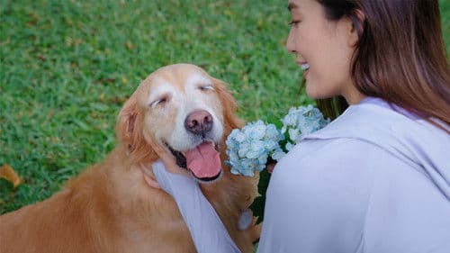 宠他，还是爱我？ Bild 1