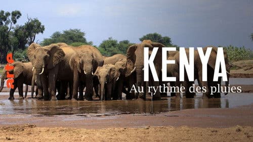 Chasing the Rains Bild 8