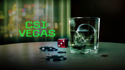 CSI: Vegas Bild 4