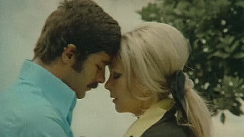 Almanyalı Yarim Bild 2