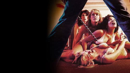 The Slumber Party Massacre Bild 3