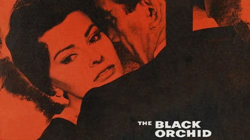 Die schwarze Orchidee Bild 6